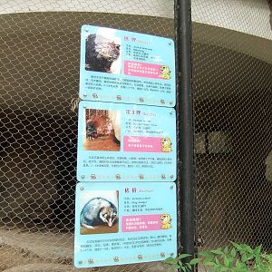Signage - Binturong/Masked Palm Civet/Hog Badger