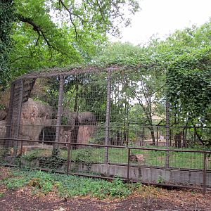 Topeka Zoo 2011 - African Lion Exhibit