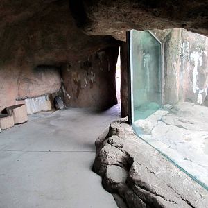 Topeka Zoo 2011 - African Lion Viewing Cave