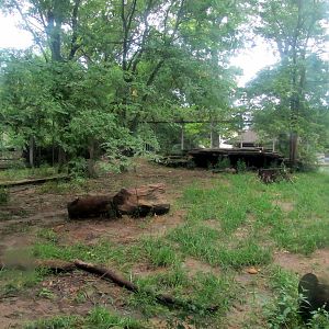 Topeka Zoo 2011 - African Lion Exhibit