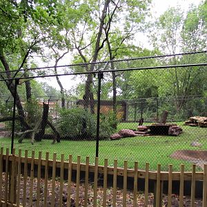 Topeka Zoo 2011 - African Lion Exhibit