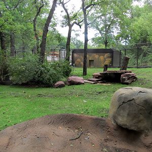 Topeka Zoo 2011 - Future African Wild Dog Exhibit