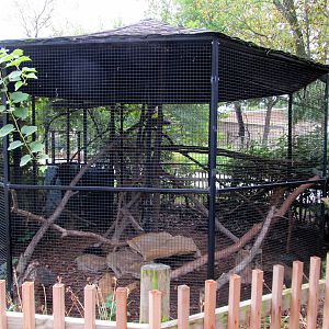 Topeka Zoo 2011 - Pallas Cat Exhibit