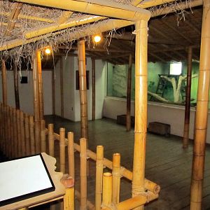 Topeka Zoo 2011 - Bornean Orangutan Viewing Area