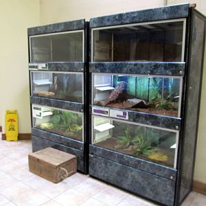 Topeka Zoo 2011 - Terrariums