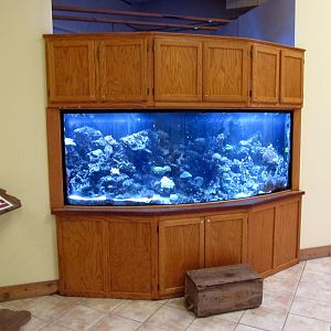 Topeka Zoo 2011 - Tropical Aquarium