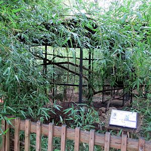 Topeka Zoo 2011 - Barred Owl/Great Horned Owl