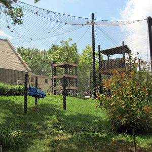 Topeka Zoo 2011 - Bornean Orangutan Exhibit