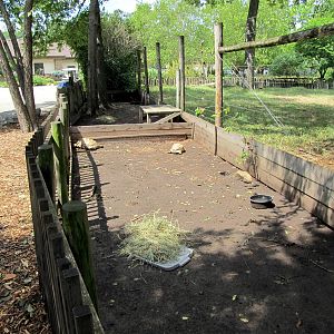 Topeka Zoo 2011 - African Spurred Tortoise/Leopard Tortoise Exhibits