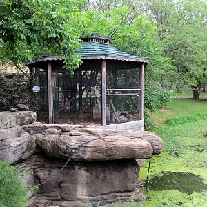 Topeka Zoo 2011 - Bobcat Exhibit