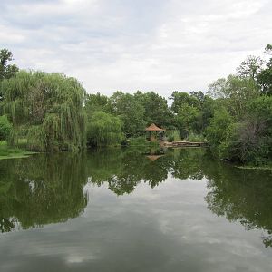 Topeka Zoo 2011 - Pond