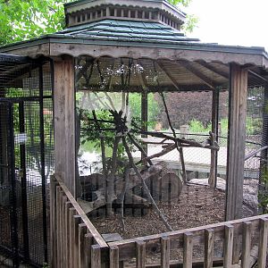 Topeka Zoo 2011 - Bobcat Exhibit