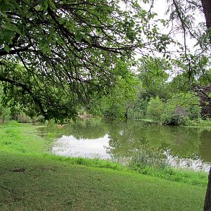 Topeka Zoo 2011 - Pond