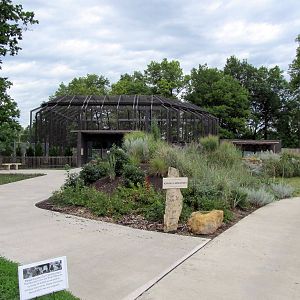Topeka Zoo 2011 - Kansas Carnviores