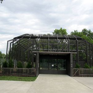 Topeka Zoo 2011 - Mountain Lion Exhibit
