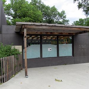 Topeka Zoo 2011 - North American River Otter Exhibit
