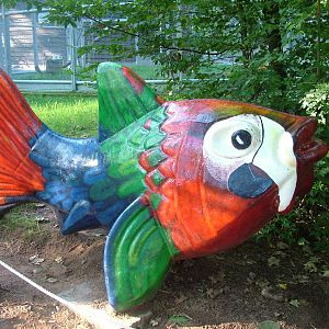 Parrot Fish at Kaiserslautern, 01/09/10