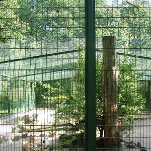 Tiger Exhibit at Kaiserslautern, 01/09/10