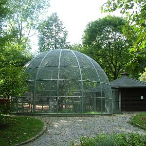 Aviary at Kaiserslautern, 01/09/10