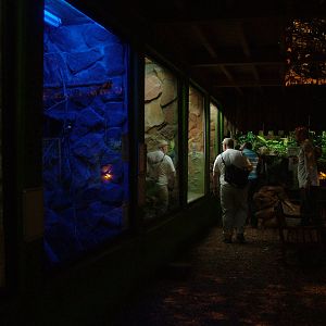 Tropical House Interior at Kaiserslautern, 01/09/10