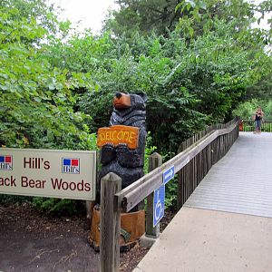 Topeka Zoo 2011 - Black Bear Woods