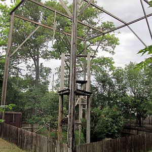 Topeka Zoo 2011 - Golden Eagle Exhibit