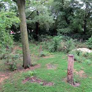 Topeka Zoo 2011 - American Black Bear Exhibit