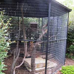 Topeka Zoo 2011 - Barn Owl Exhibit