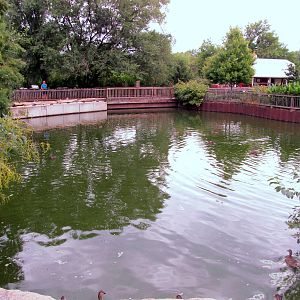 Topeka Zoo 2011 - Waterfowl Pond