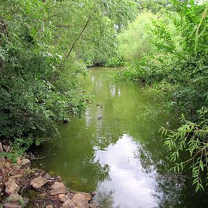 Topeka Zoo 2011 - Waterfowl Pond