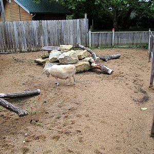 Topeka Zoo 2011 - Goat/Sheep Pen