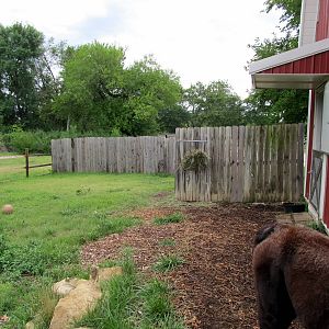 Topeka Zoo 2011 - Llama Pen