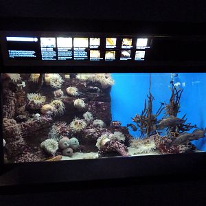 San Diego Bay Exhibit