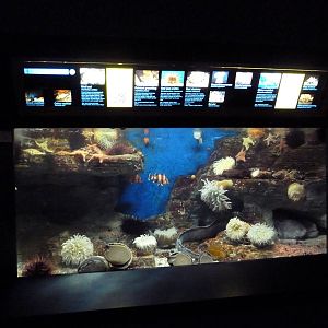 San Diego Bay Exhibit