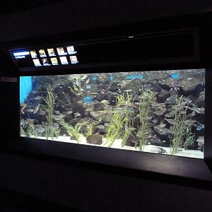 San Diego Bay Exhibit