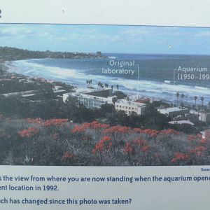Tide Pool Plaza - 1992 Photo