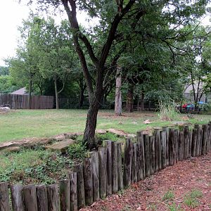 Topeka Zoo 2011 - Reticulated Giraffe Exhibit