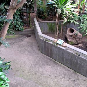 Topeka Zoo 2011 - Red-footed Tortoise Exhibit