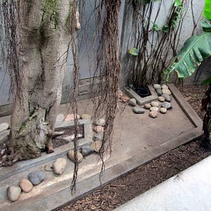 Topeka Zoo 2011 - Southern Three-banded Armadillo Exhibit