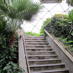 Topeka Zoo 2011 - Stairs to Observation Platform