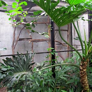 Topeka Zoo 2011 - Brazilian Porcupine Exhibit