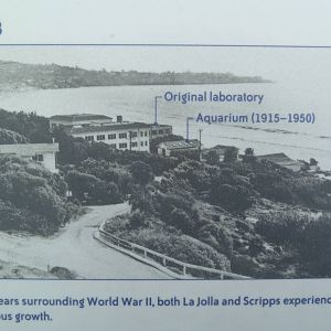 Tide Pool Plaza - 1948 Photo