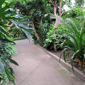 Topeka Zoo 2011 - Path