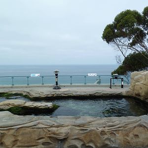 Tide Pool Plaza