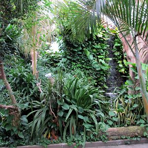 Topeka Zoo 2011 - Tropical Rainforest