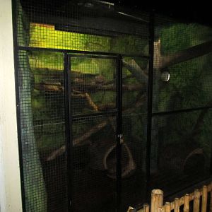 Topeka Zoo 2011 - Indoor Fishing Cat Exhibit