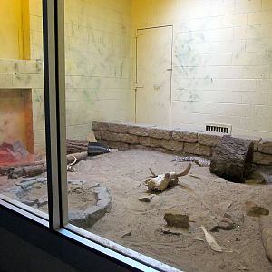 Topeka Zoo 2011 - Rio Fuerte Beaded Lizard Exhibit