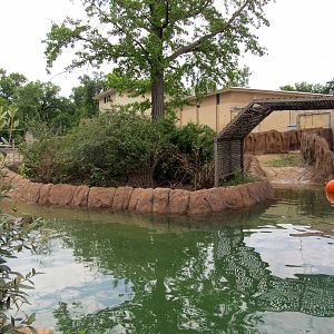 Topeka Zoo 2011 - Hippopotamus Outdoor Pool