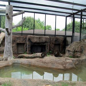 Topeka Zoo 2011 - Sumatran Tiger Exhibit