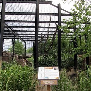 Topeka Zoo 2011 - Black Leopard Exhibit